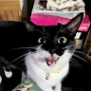 Meet your Posher, Leilani